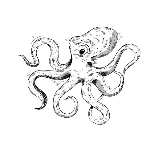 Kraken