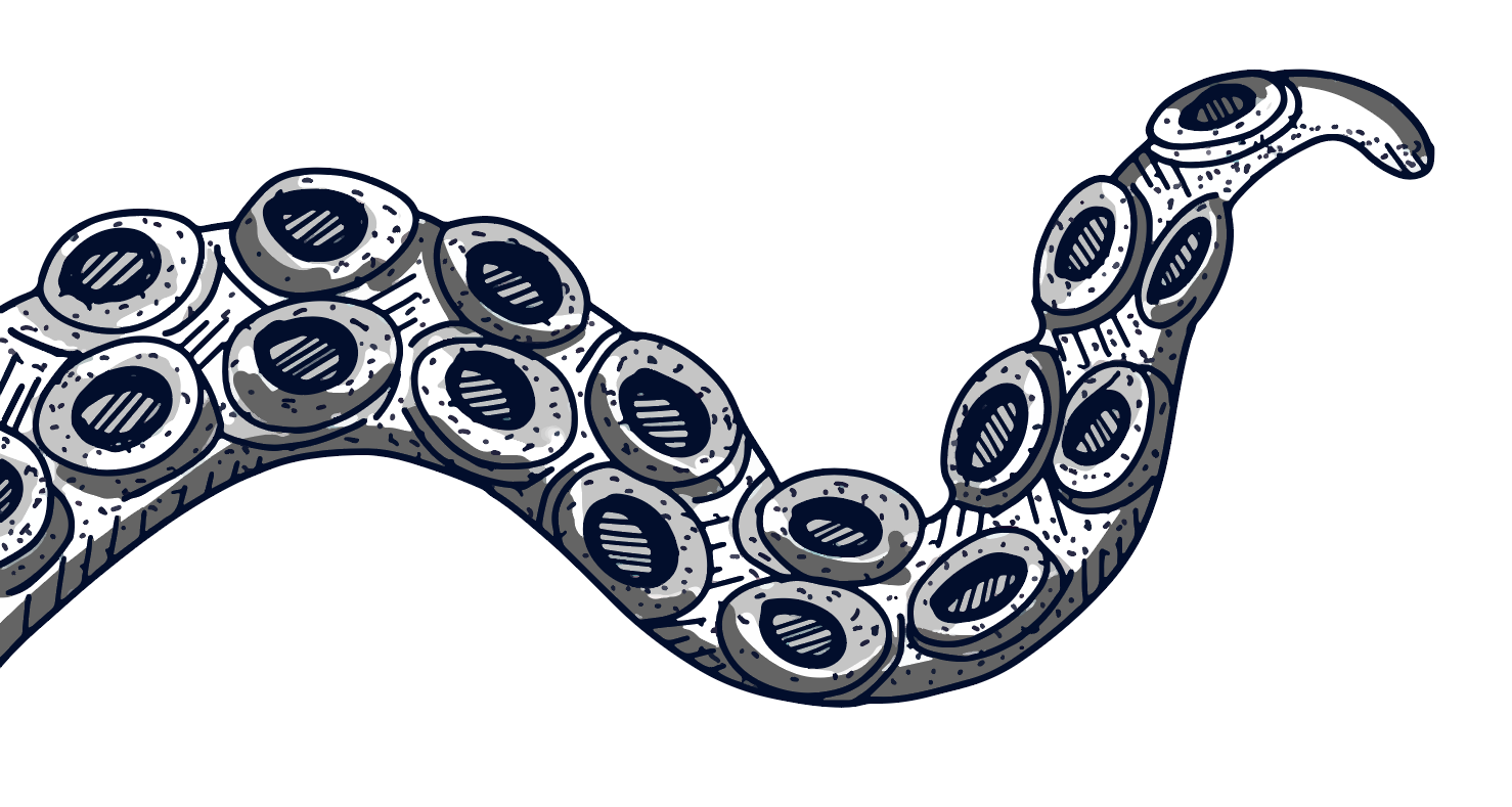 Krakenarm von links