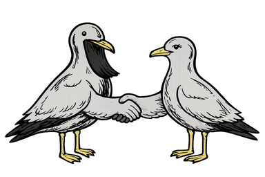 Partnerschaftsmöwen.