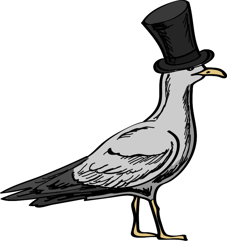 Adel Möwe.png
